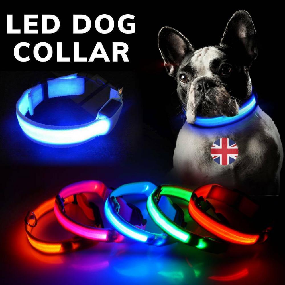 LED Dog Collar Light up Adjustable Pet USB Rechargeable Safety Luminous ALL SIZE